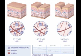 水潤皮膚的秘密武器，乙酰殼糖胺和透明質(zhì)酸的甜蜜聯(lián)盟！